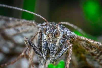 電気代を劇的に減らす！一人暮らしの節電術を徹底解説完全ガイド