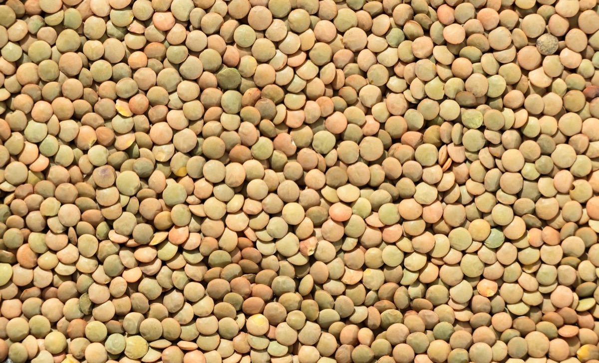 grãos e legumes secos
