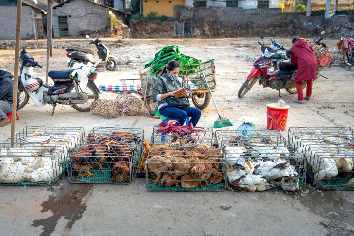 Verdure e pollo economici in un banco di mercato