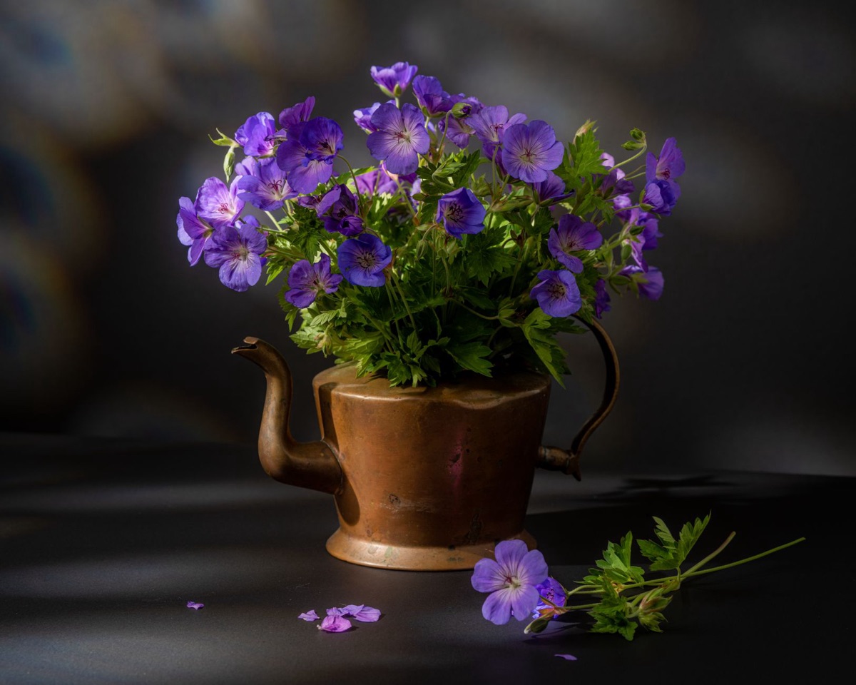 Pentole di rame e erbe aromatiche