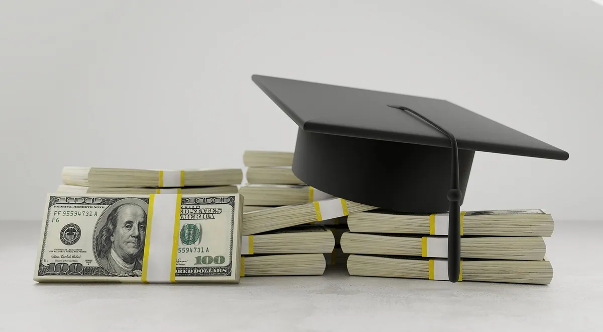 mentor, school, students, college, learning, study, education, money, dept, bank, loan, university, knowledge, hat, cap, wisdom, gray money, gray school, gray e