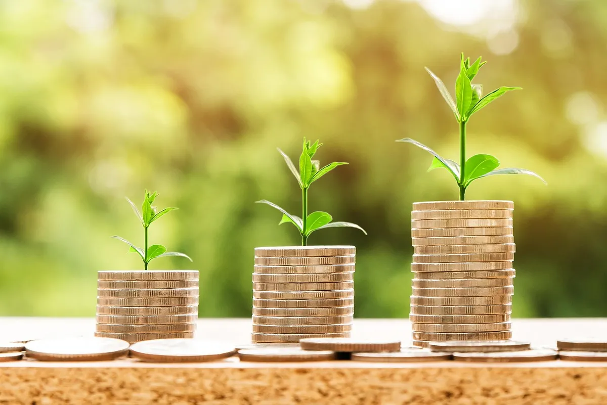 money, profit, finance, business, return, yield, financial, cash, currency, investment, banking, wealth, coin, economy, success, loan, salary, rich, credit, pay